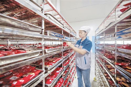 道真 做強做優產業鏈，賦能附著式升降腳手架高質量發展